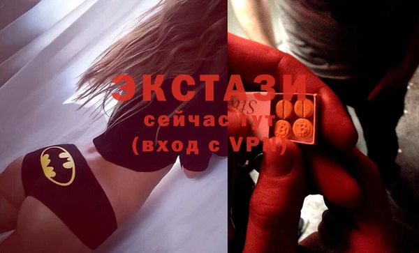 гашик Козловка