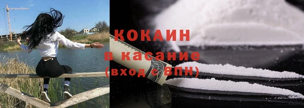 гашик Козловка