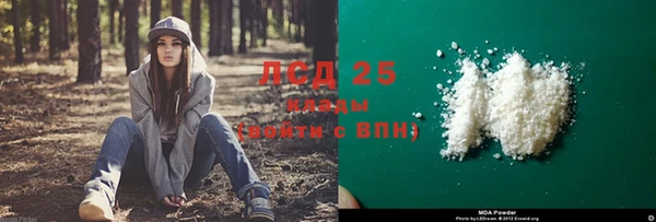 сатива Новый Уренгой