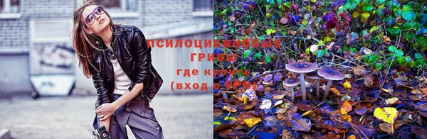 сатива Новый Уренгой