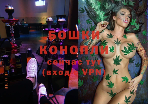 соль ск Краснослободск