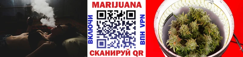 Конопля гибрид Лукоянов